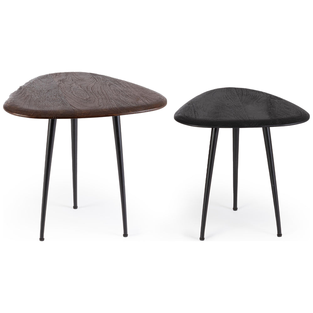 MAYO coffee table set, 2 pcs, mango wood