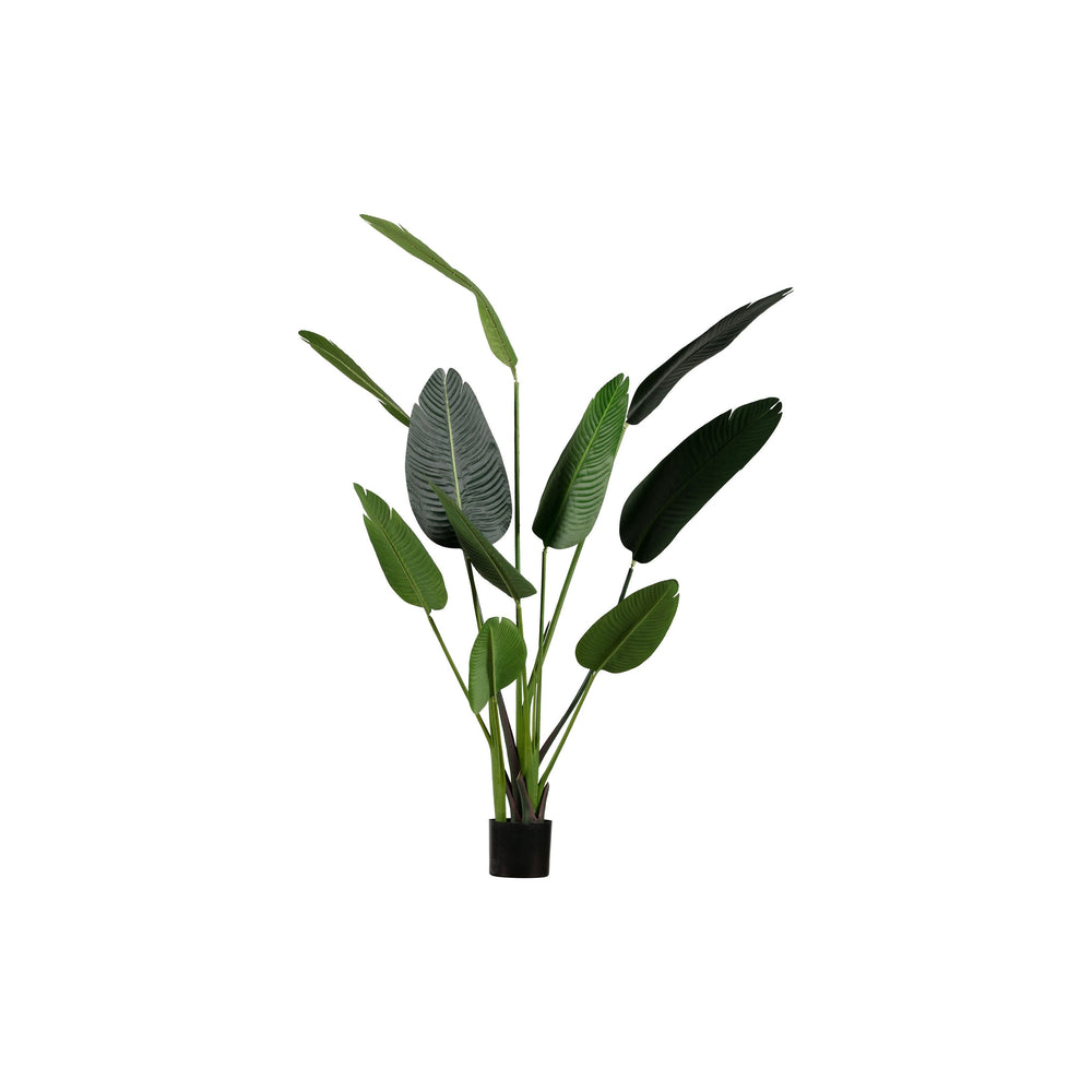 "STRELITZIA" dirbtinis augalas, žalia spalva, 164 cm