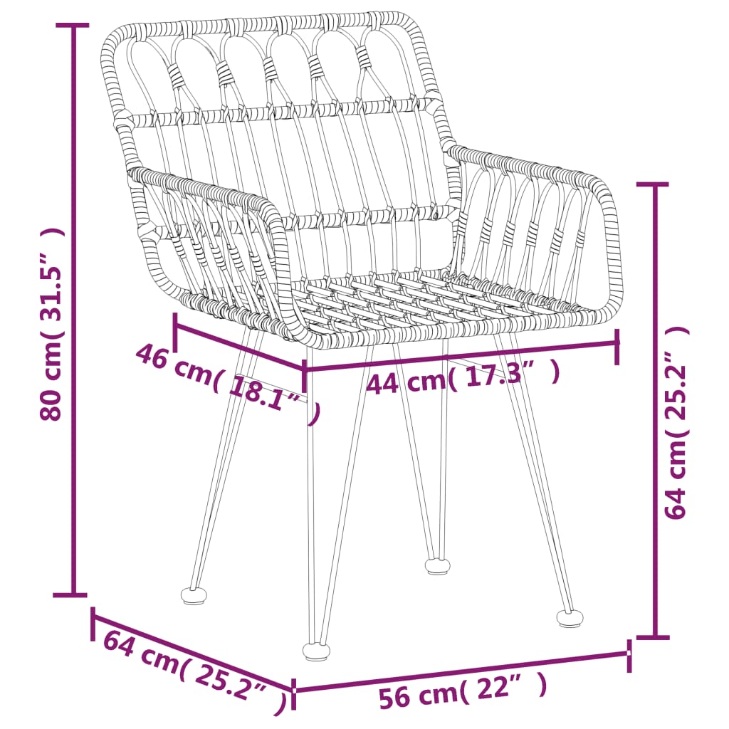 Sodo kėdės su porankiais, 2vnt., 56x64x80cm, PE ratanas