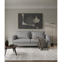 Sofa-lova SEANE svetainėje, bendras vaizdas
