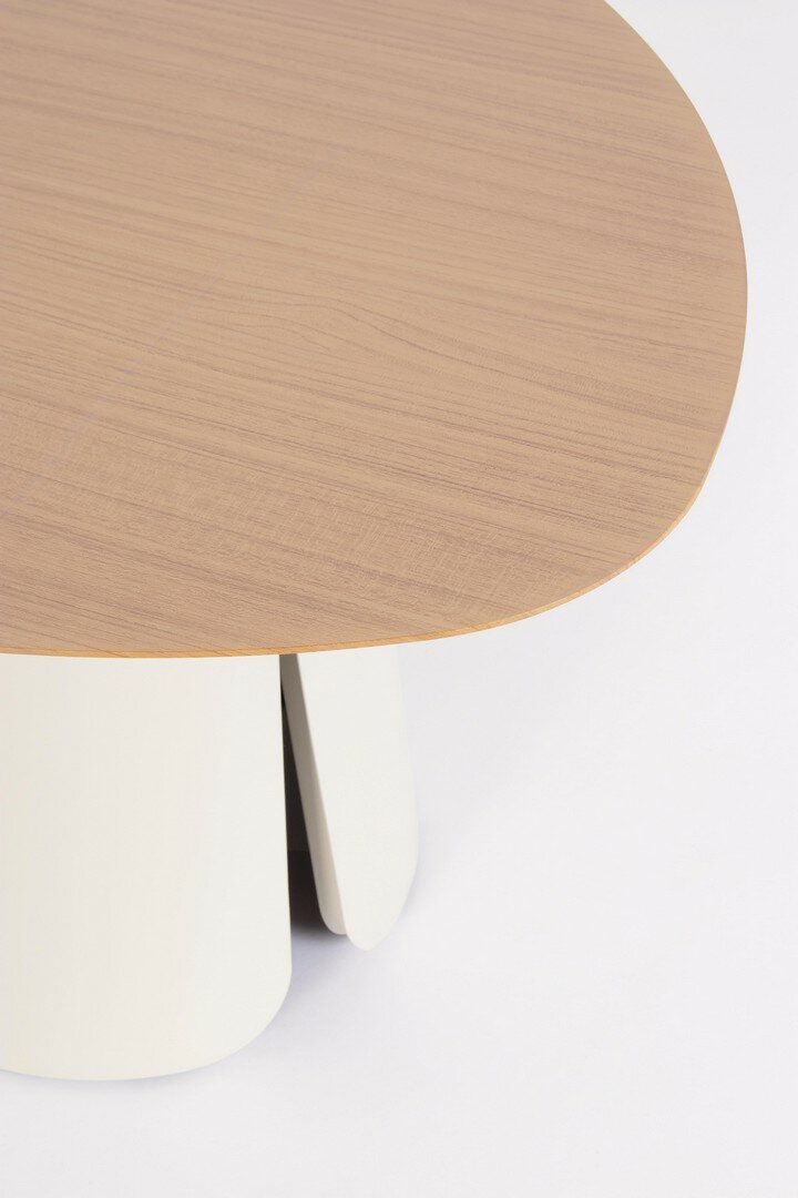 Coffee table set HAYDEN, pelican