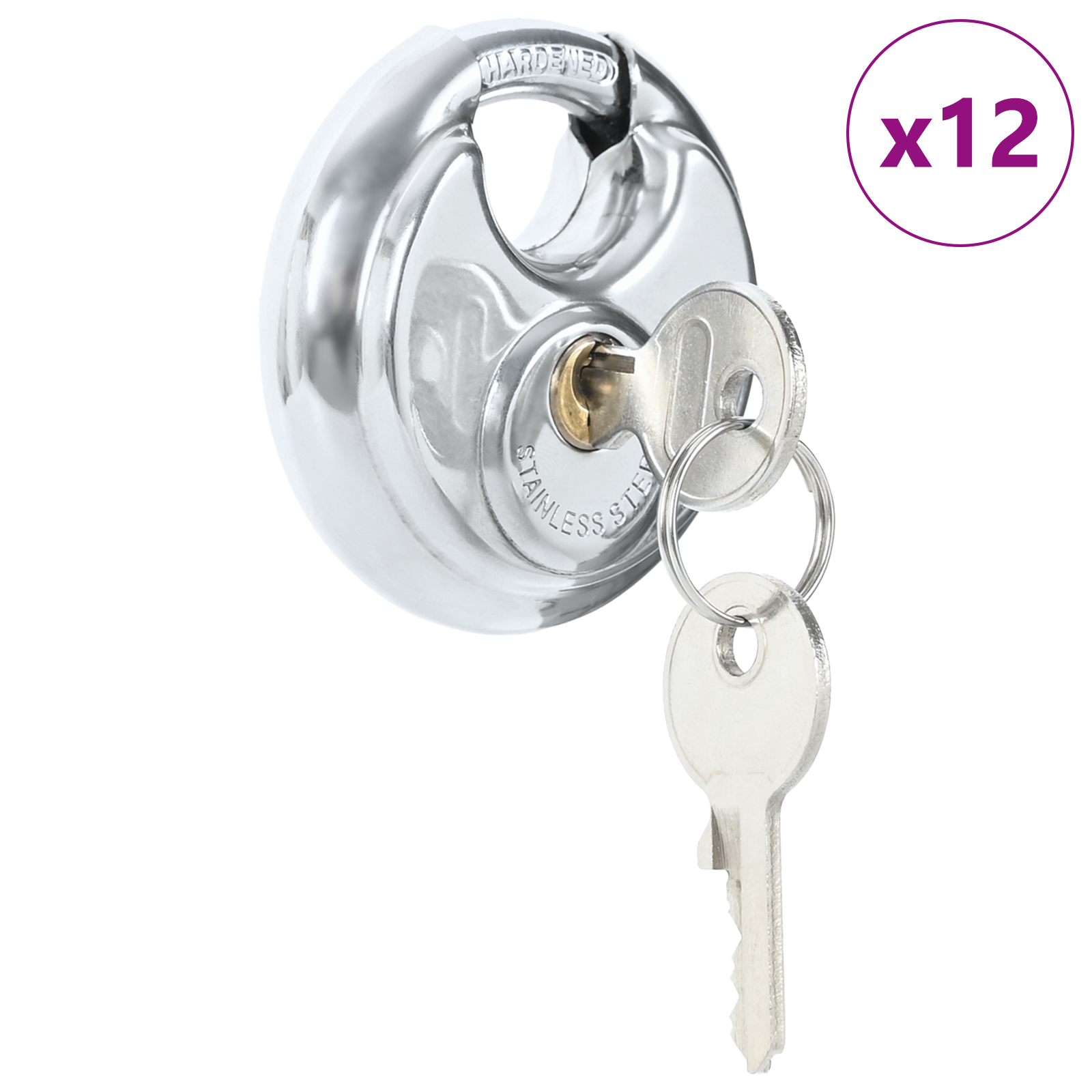 Diskiniai užraktai su rakteliais 12 pcs Sidabro 6 x 2.3 x 6 cm