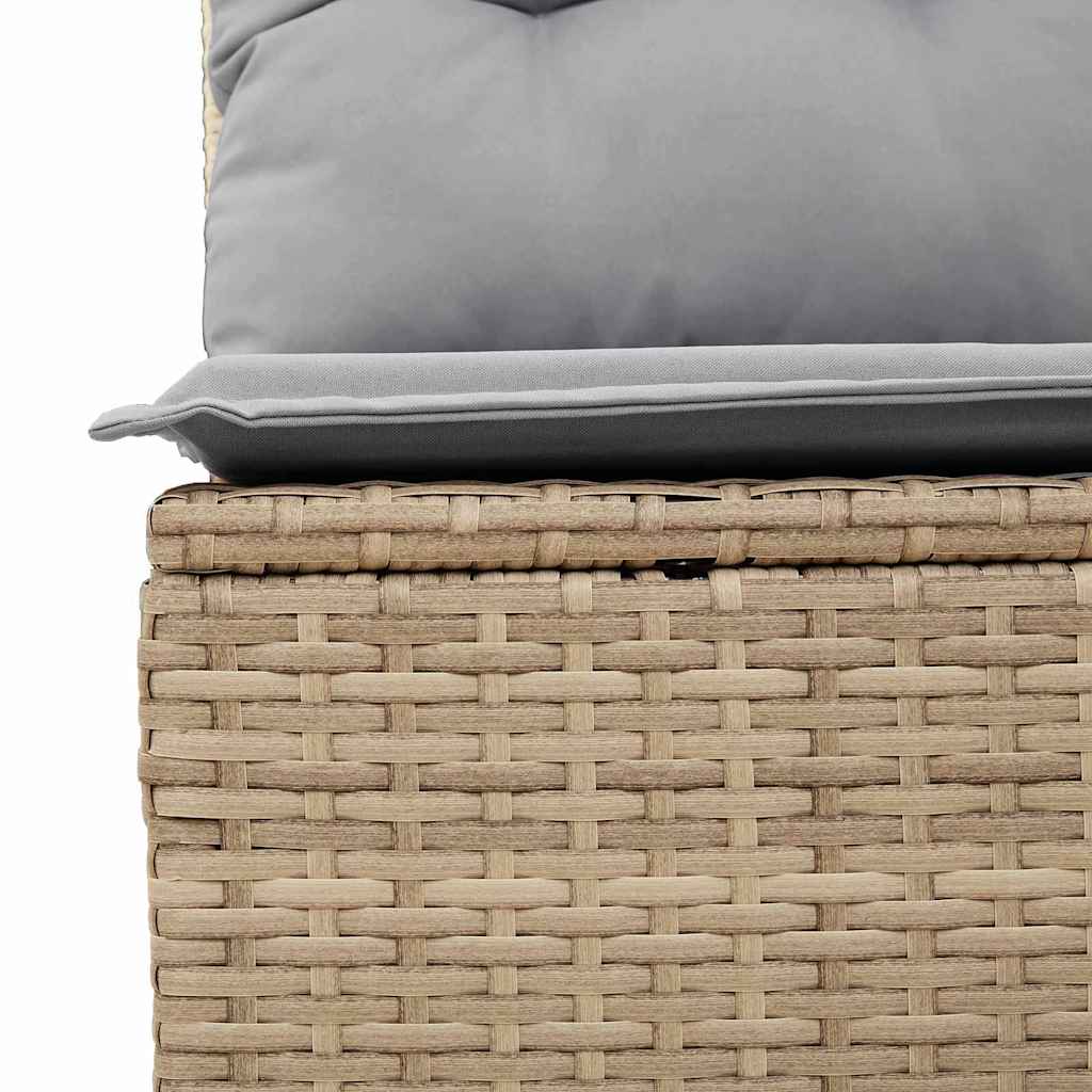 10 dalių sodo sofa rinkinys su pagalvėlėmis smėlio poli rattan akacija - Namų Idėja