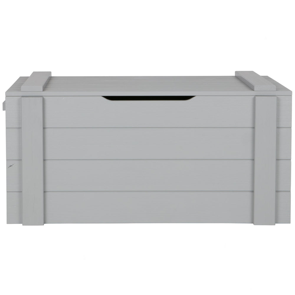 Daiktadėžė DENNIS, pušis, betono pilka