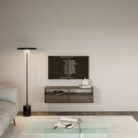 Pakabinama TV spintelė ZARI, riešutas, 100 cm, 2