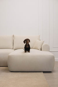 Kampinė sofa CORMAC mini, kreminė Storm, dešinė