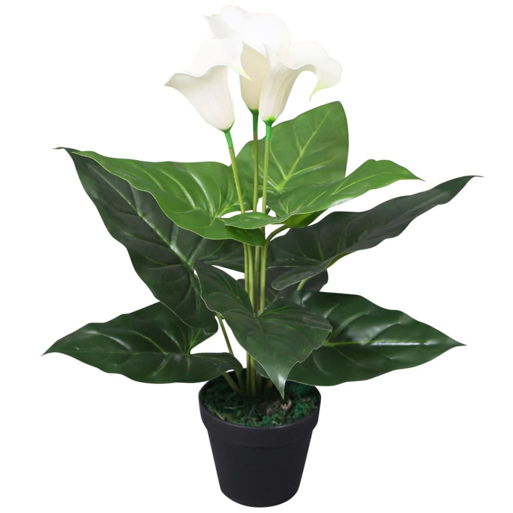 Artificial Abyssinian Calla Lily with Pot, 45 cm, White