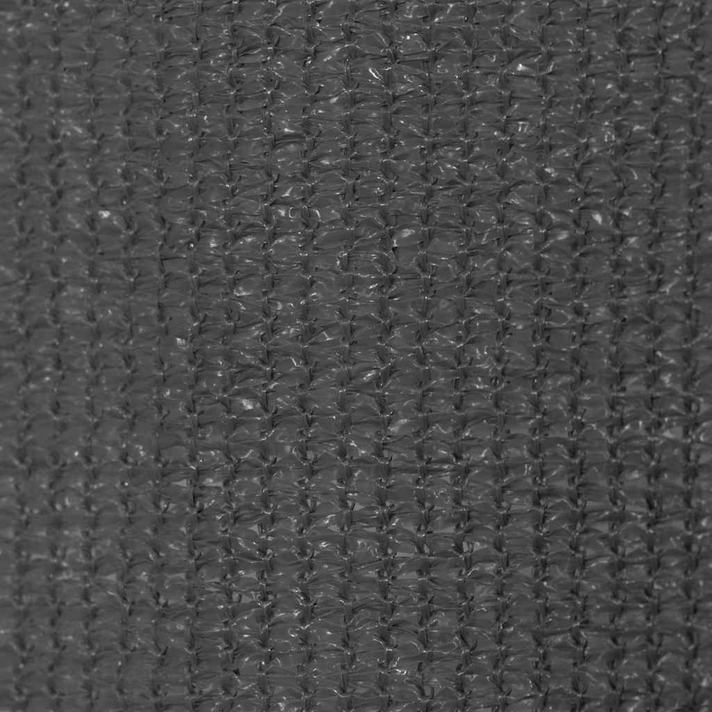 Lauko roletas, 305 (plotis) x 230 (aukštis) cm, antracito spalvos