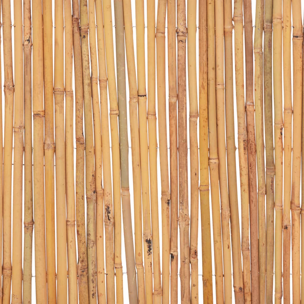 Bamboo fence, 500x50cm