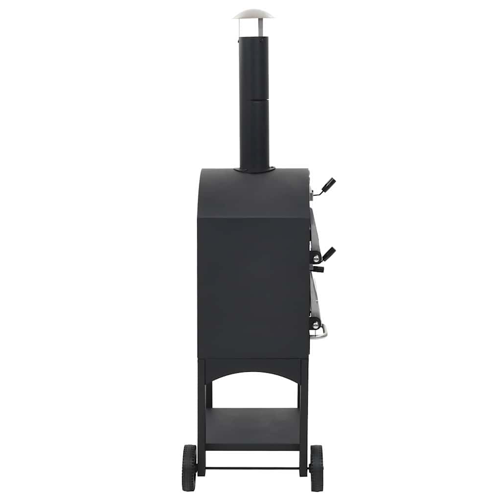 Outdoor charcoal pizza oven with fire stone