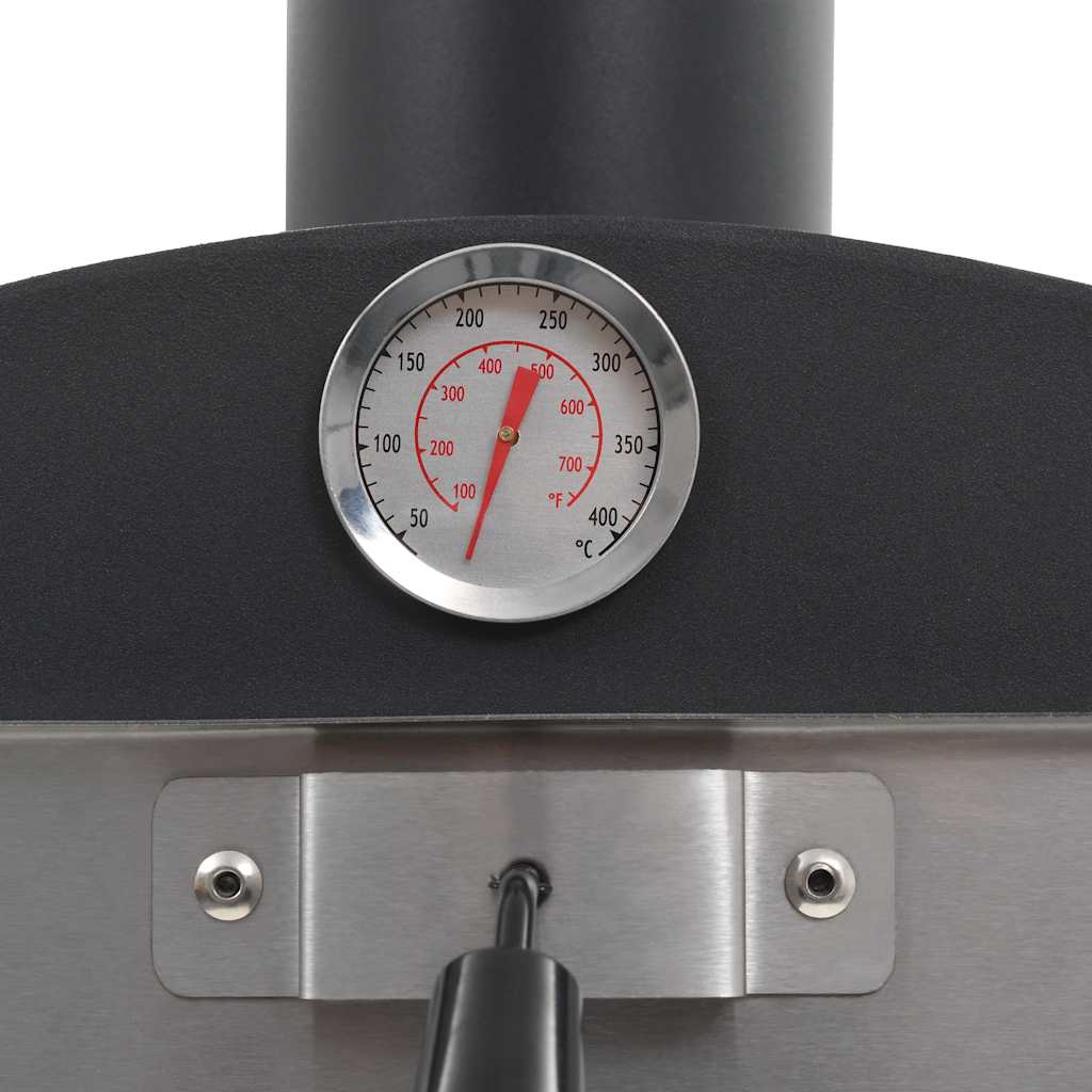 Outdoor charcoal pizza oven with fire stone