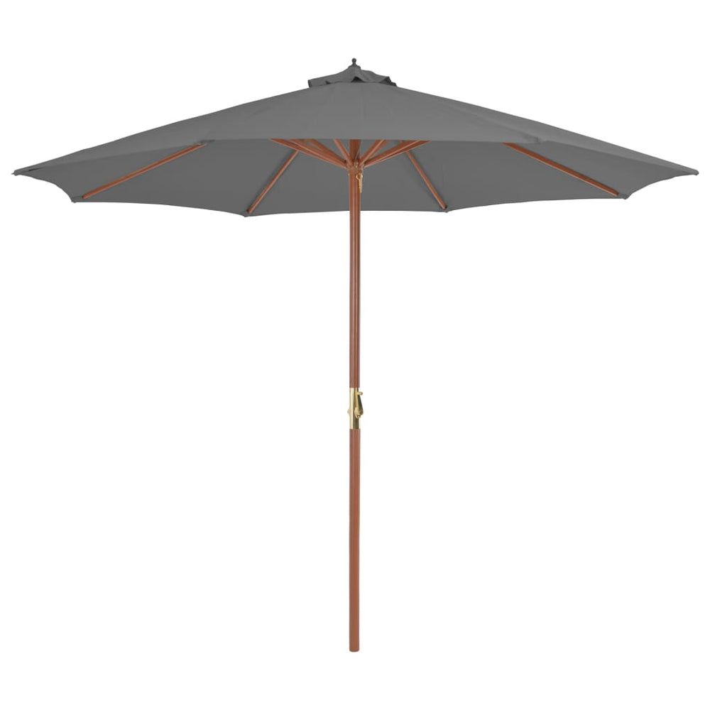 Lauko skėtis nuo saulės su mediniu stulpu, antracito, 300cm