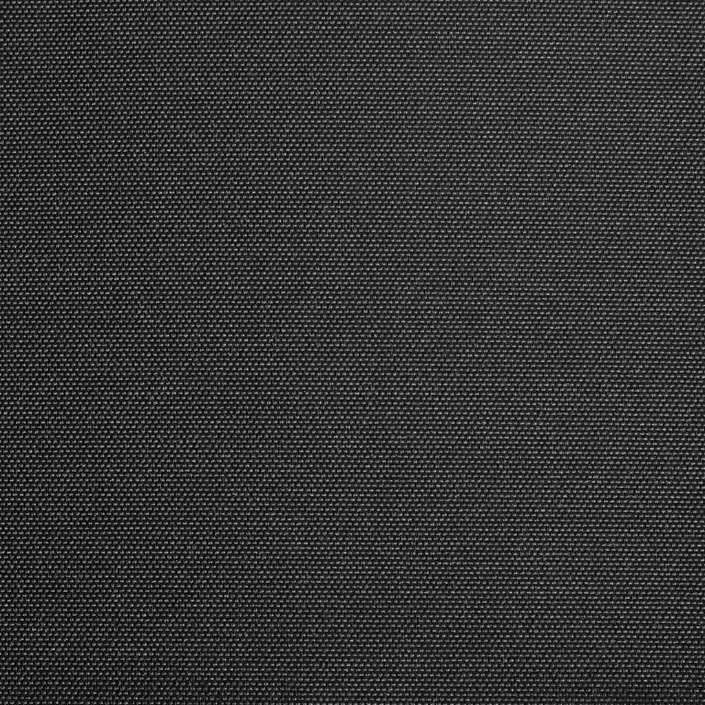 Markizės uždangalas, antracito spalvos, 300x250cm