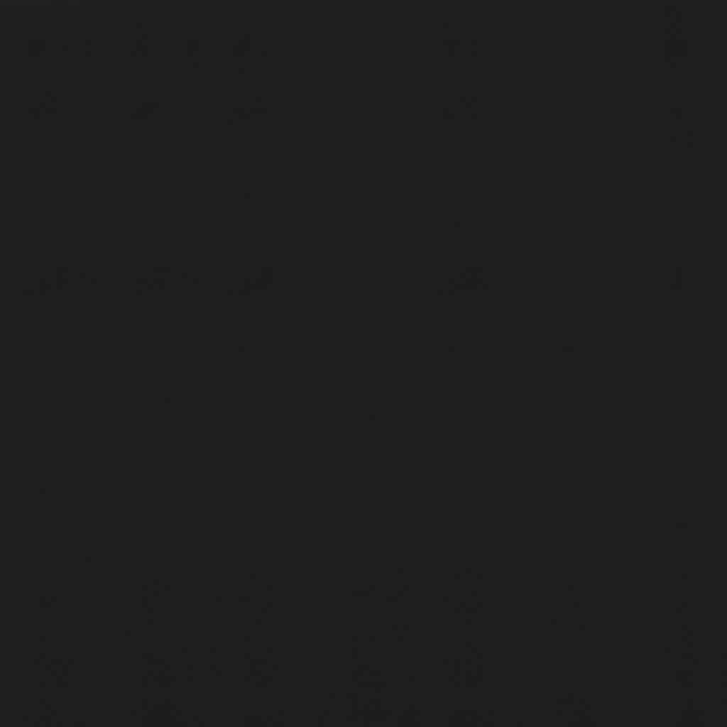 Ištraukiama markizė, antracito spalvos, 300x150 cm
