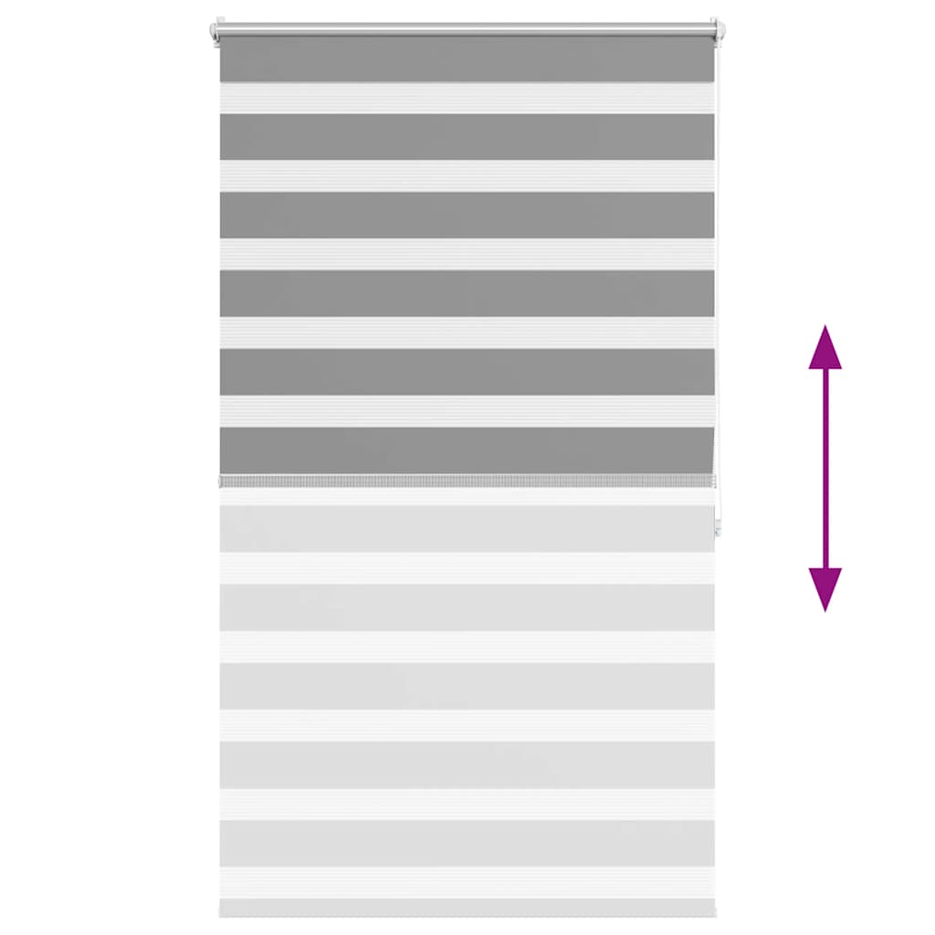Day and Night Blind, Roller Blind 100 x 175 cm, Grey
