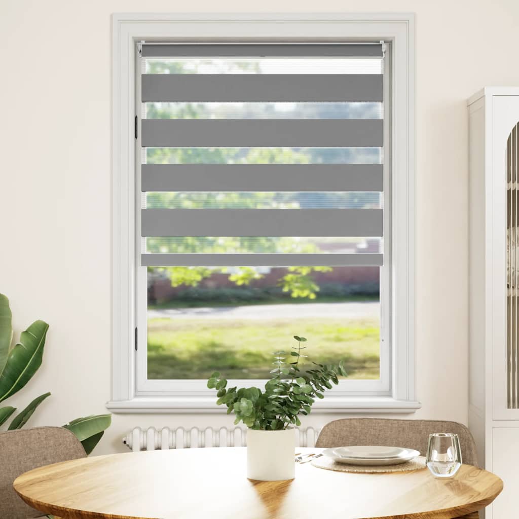 Day and Night Blind, Roller Blind 100 x 175 cm, Grey