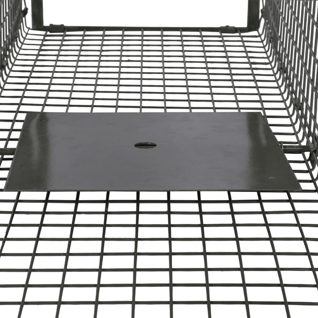 Animal trap with 2 doors