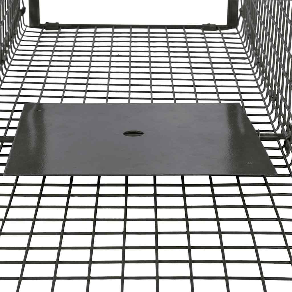 Animal trap with 2 doors