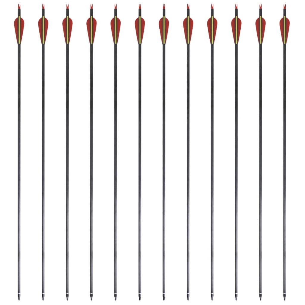 Standartinės lenkto lanko strėlės, 12vnt., anglis, 30", 0,76cm
