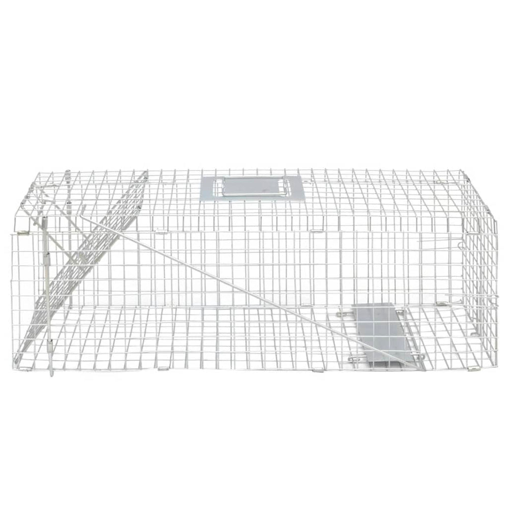 Cinkuota gyvų paukščių gaudyklė, 80 cm