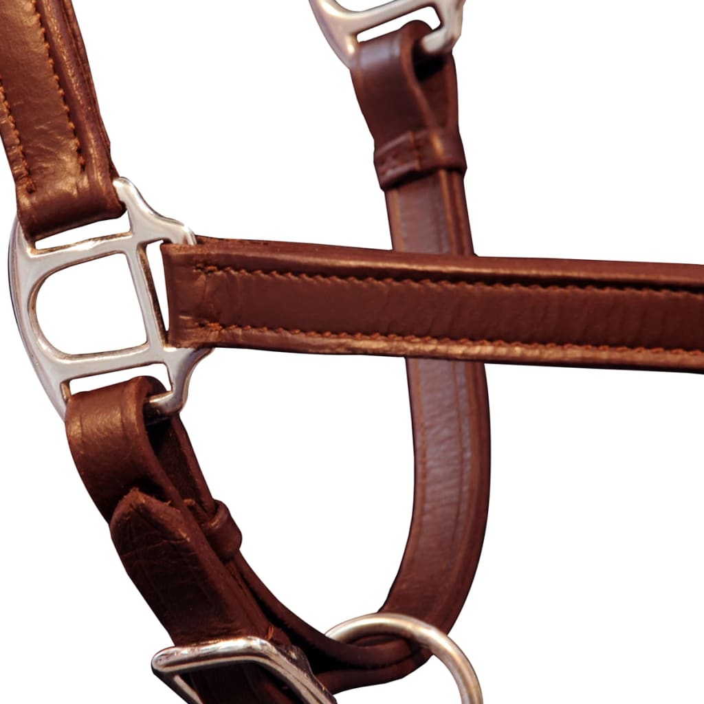 Leather Headcollar, Adjustable, Brown, Full Size