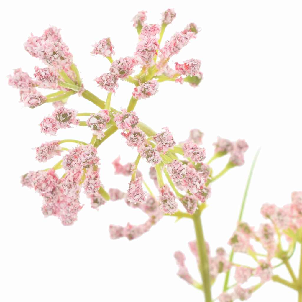 Dirbtinė Flora 95 cm Plastmasė