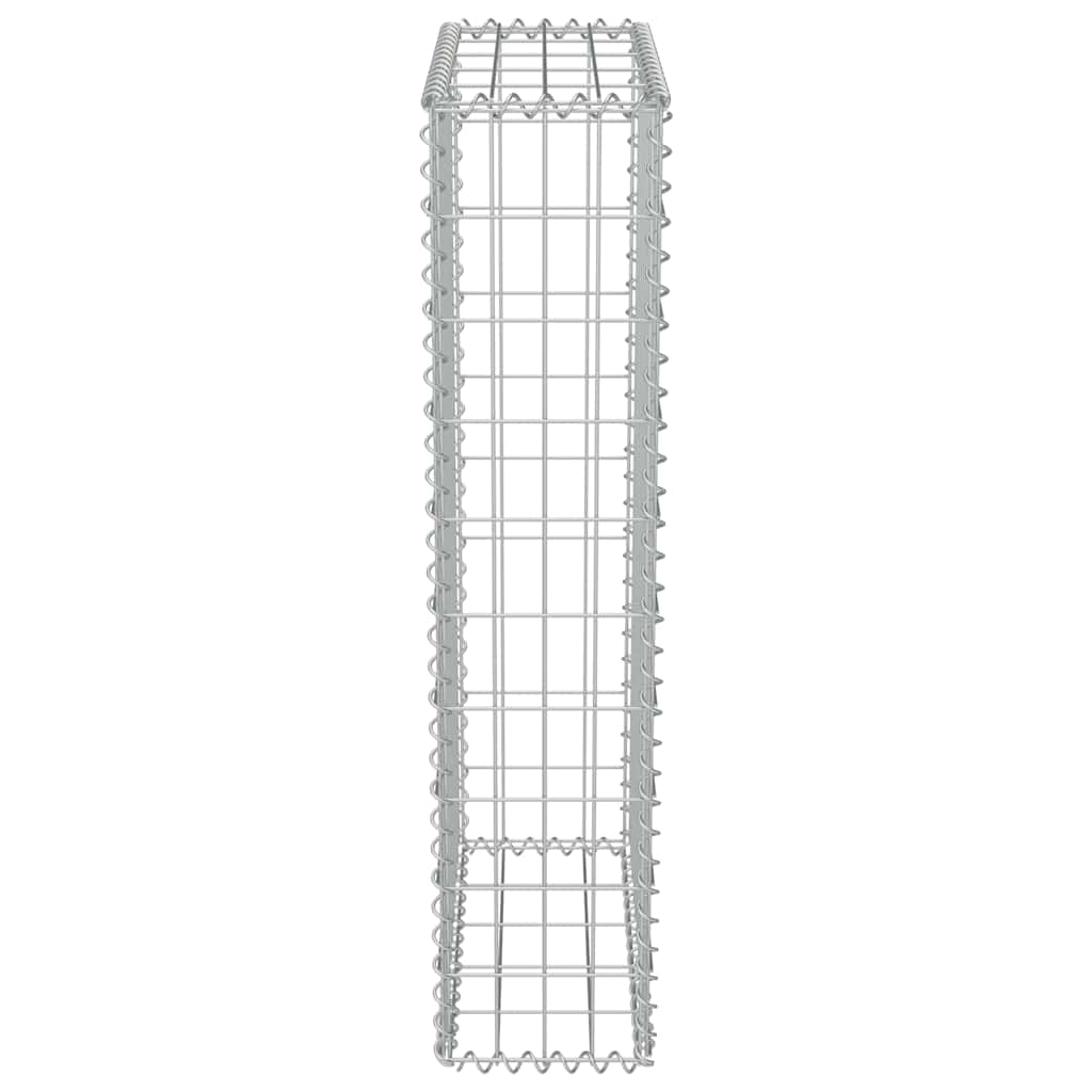 Gabiono siena su dang., galvanizuotas plienas, 50x20x100cm