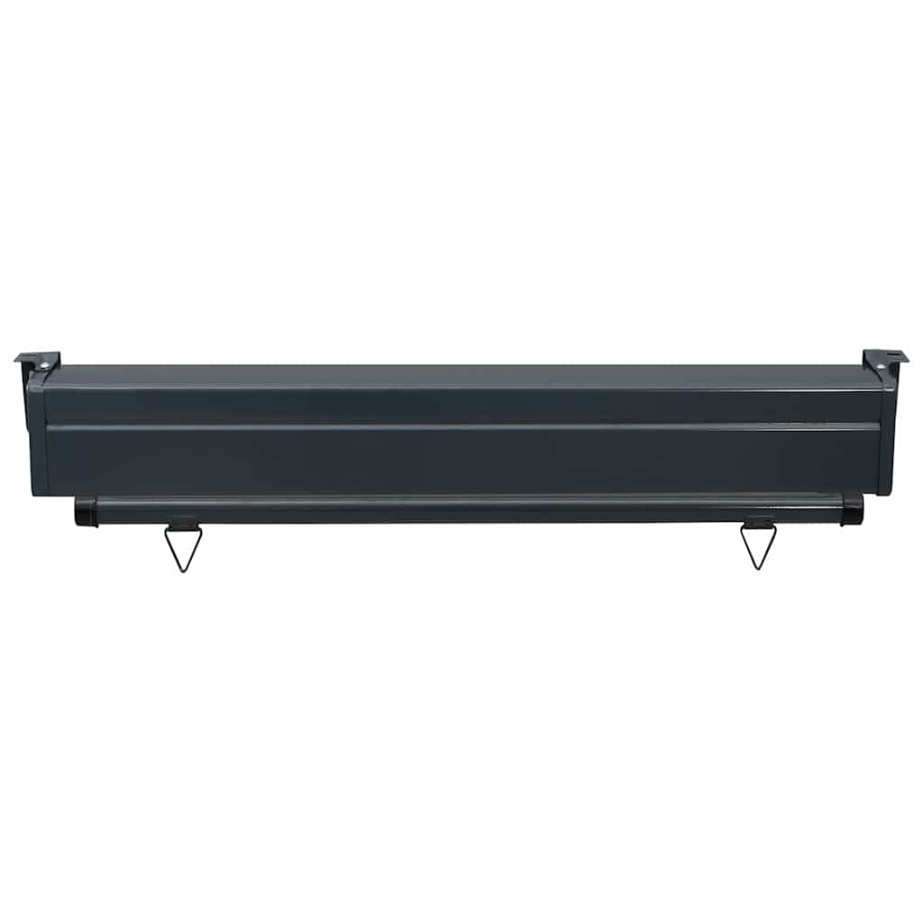 Lateral balcony awning, black, 100x250cm
