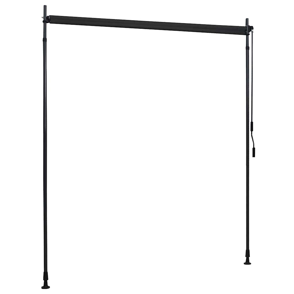 Outdoor roller blind, anthracite, 200x270cm