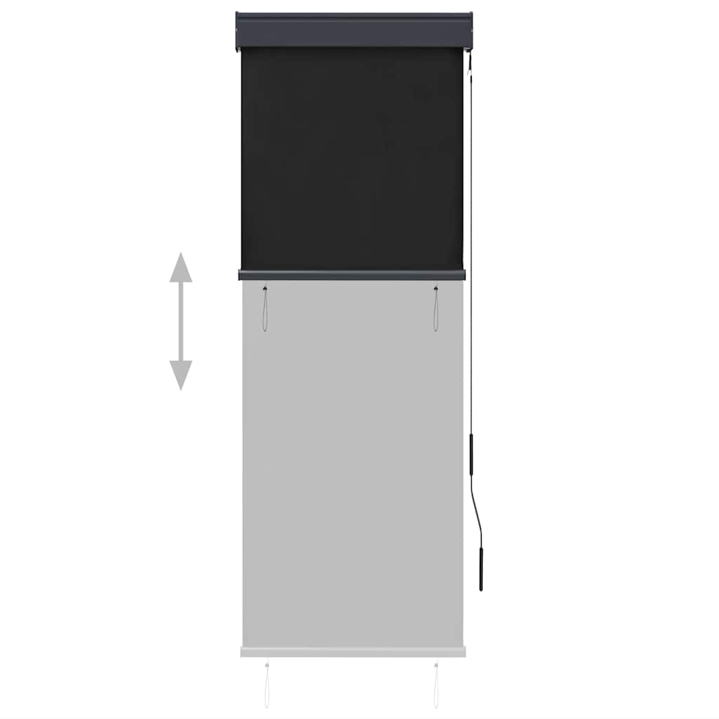 Lauko roletas, antracito spalvos, 60x250cm