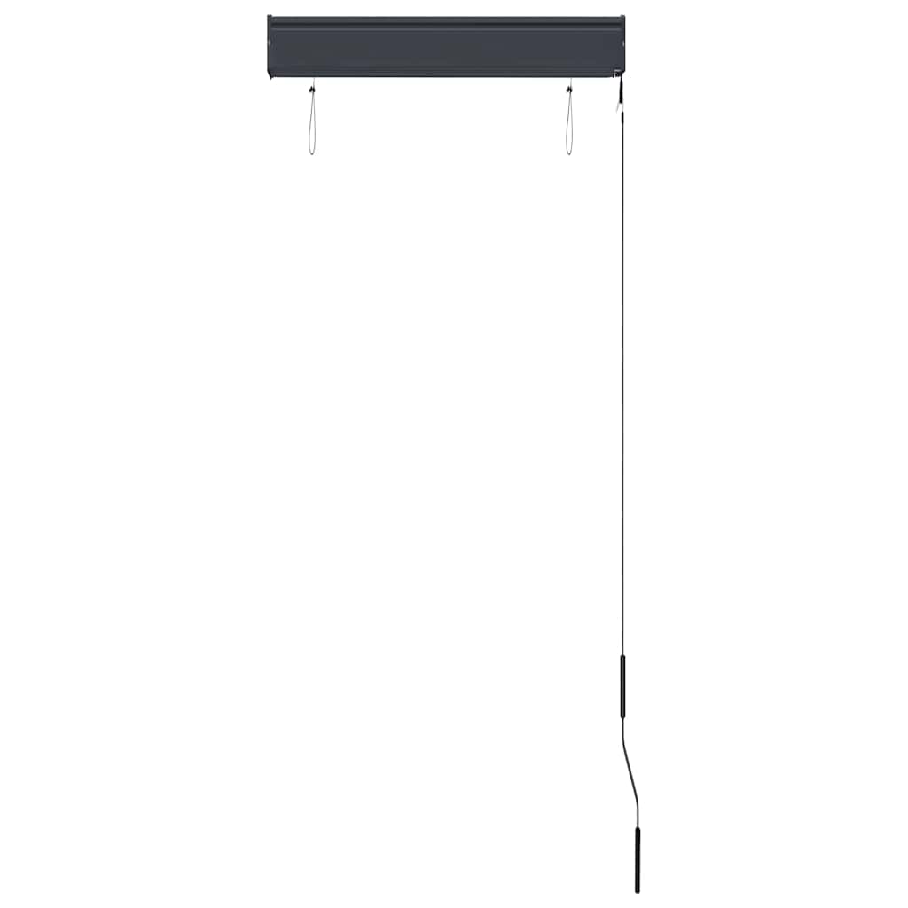 Lauko roletas, antracito spalvos, 60x250cm