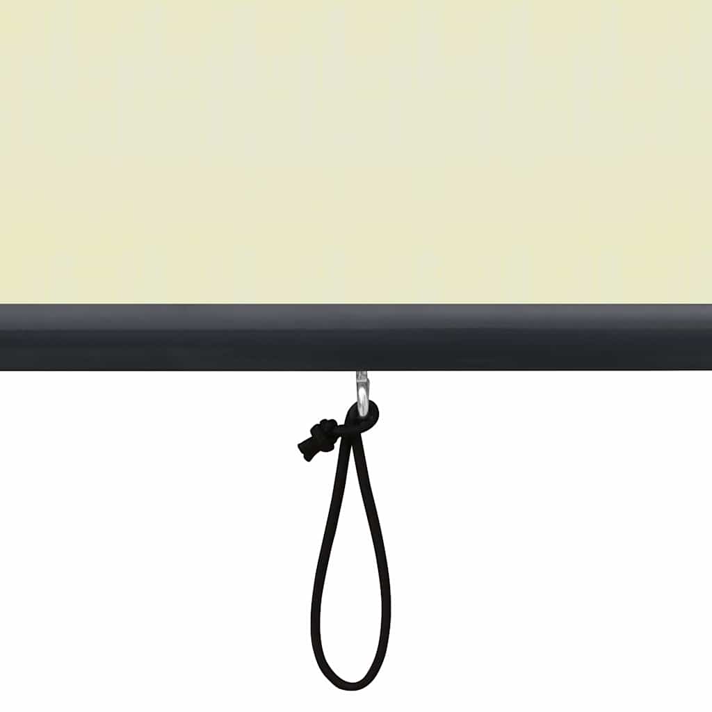Lauko roletas, kreminės spalvos, 60x250cm