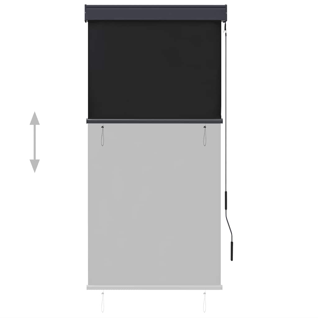Outdoor roller blind, anthracite, 80x250cm