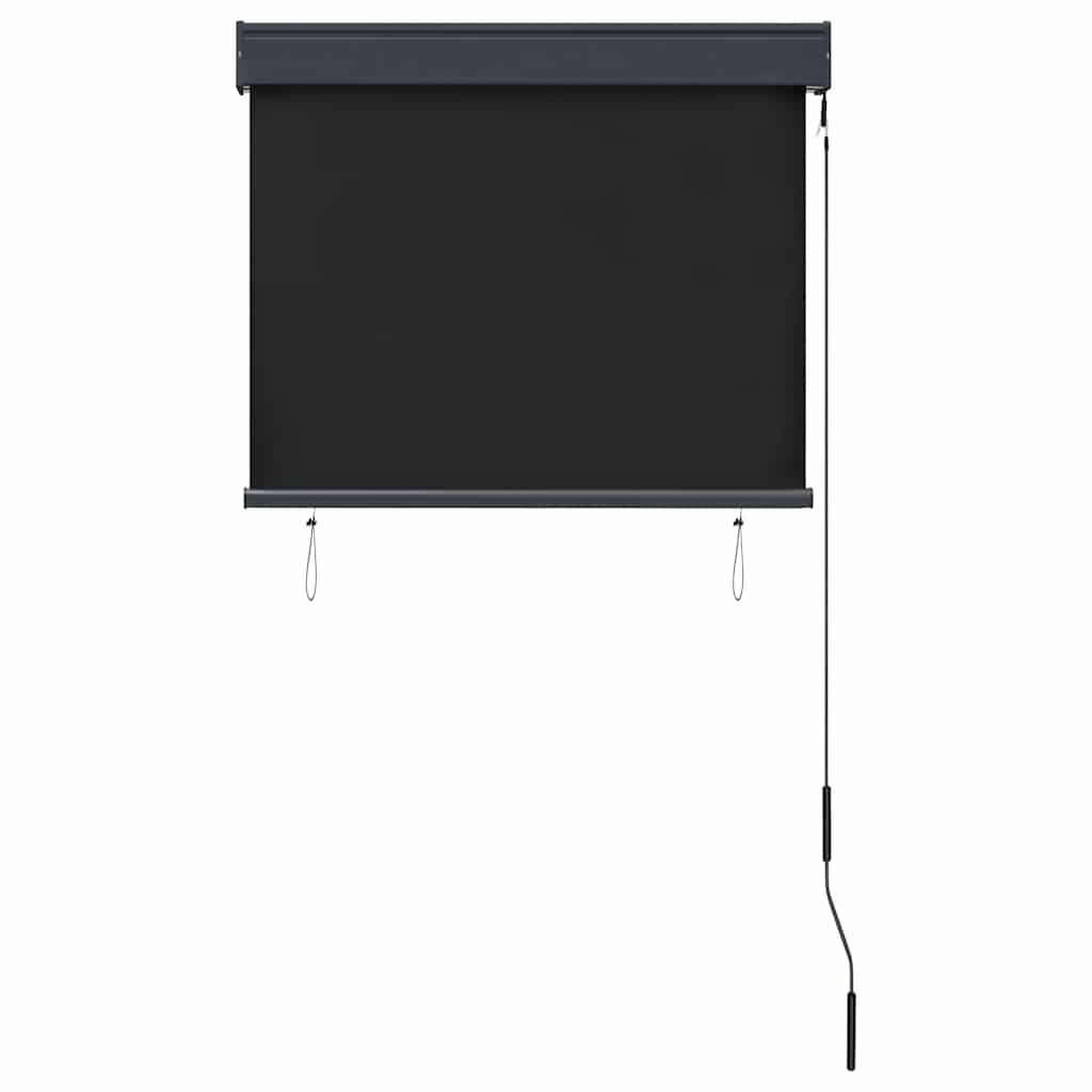 Outdoor roller blind, anthracite, 80x250cm