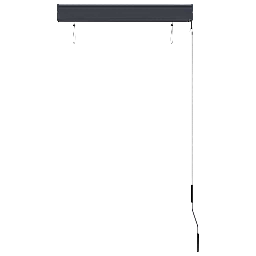 Outdoor roller blind, anthracite, 80x250cm