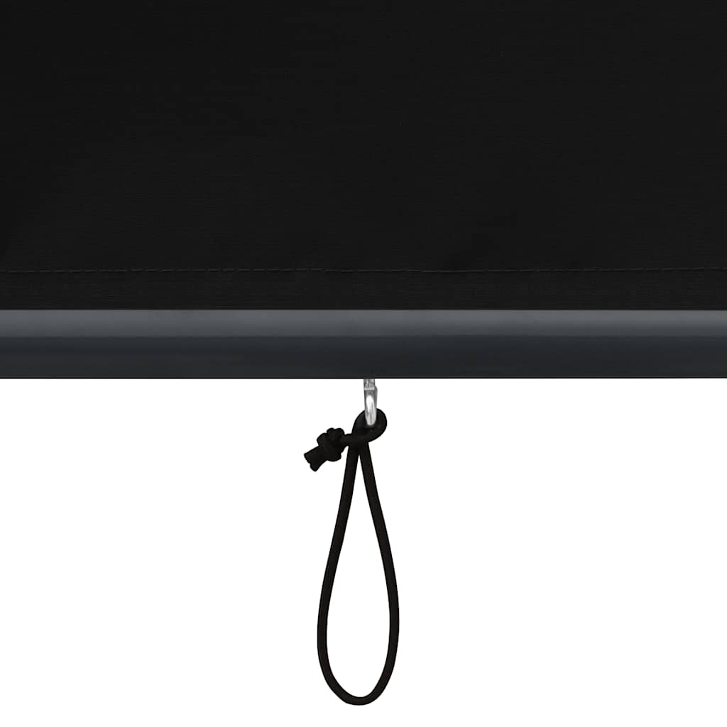 Outdoor roller blind, anthracite, 80x250cm