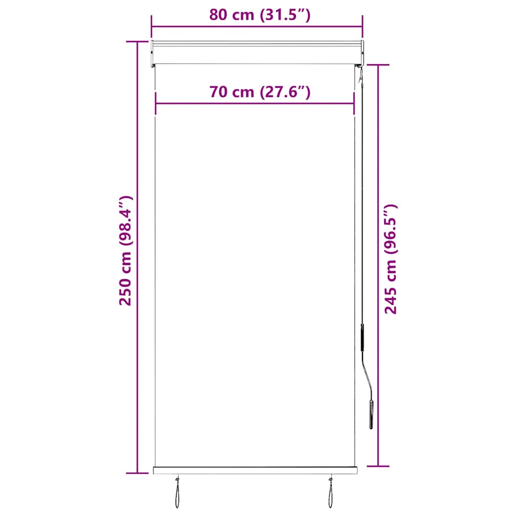 Outdoor roller blind, anthracite, 80x250cm