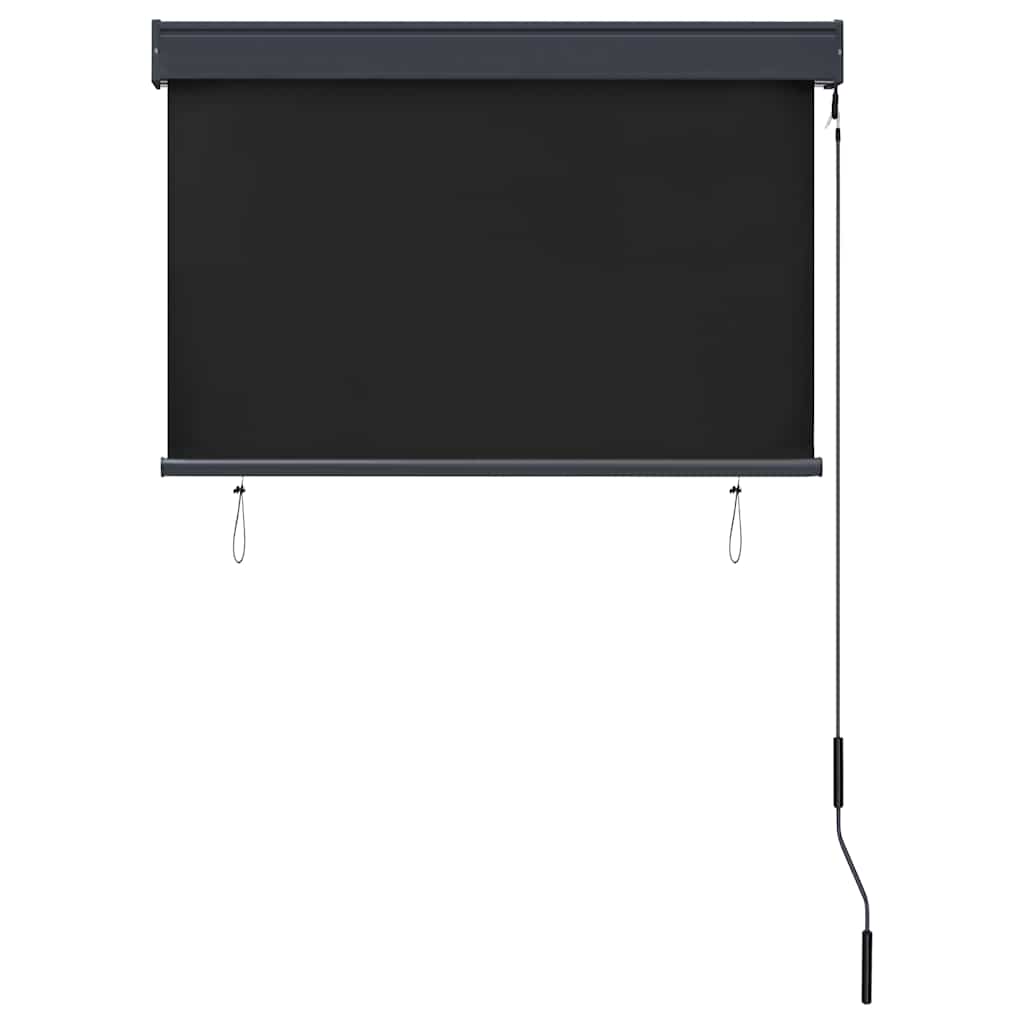 Lauko roletas, antracito spalvos, 100x250cm