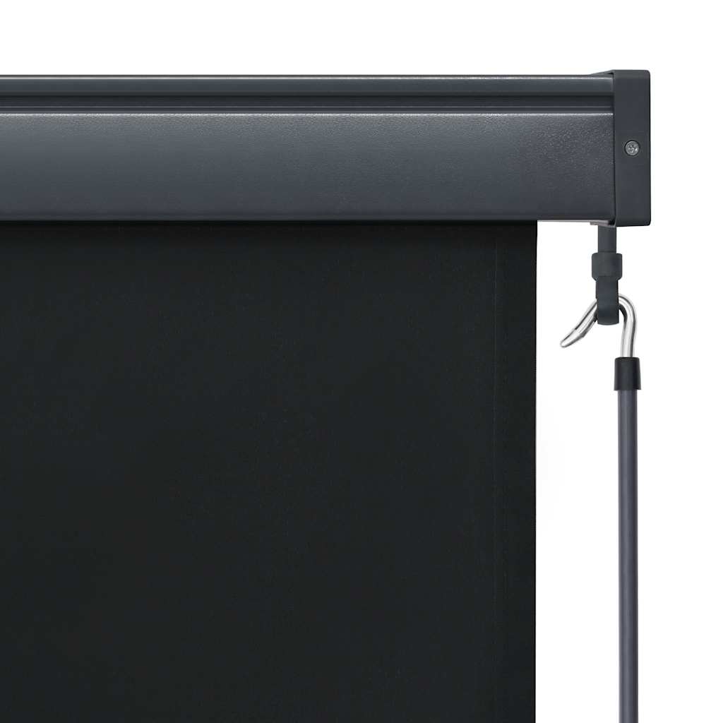 Lauko roletas, antracito spalvos, 100x250cm