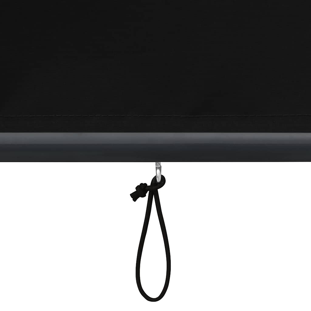 Lauko roletas, antracito spalvos, 100x250cm