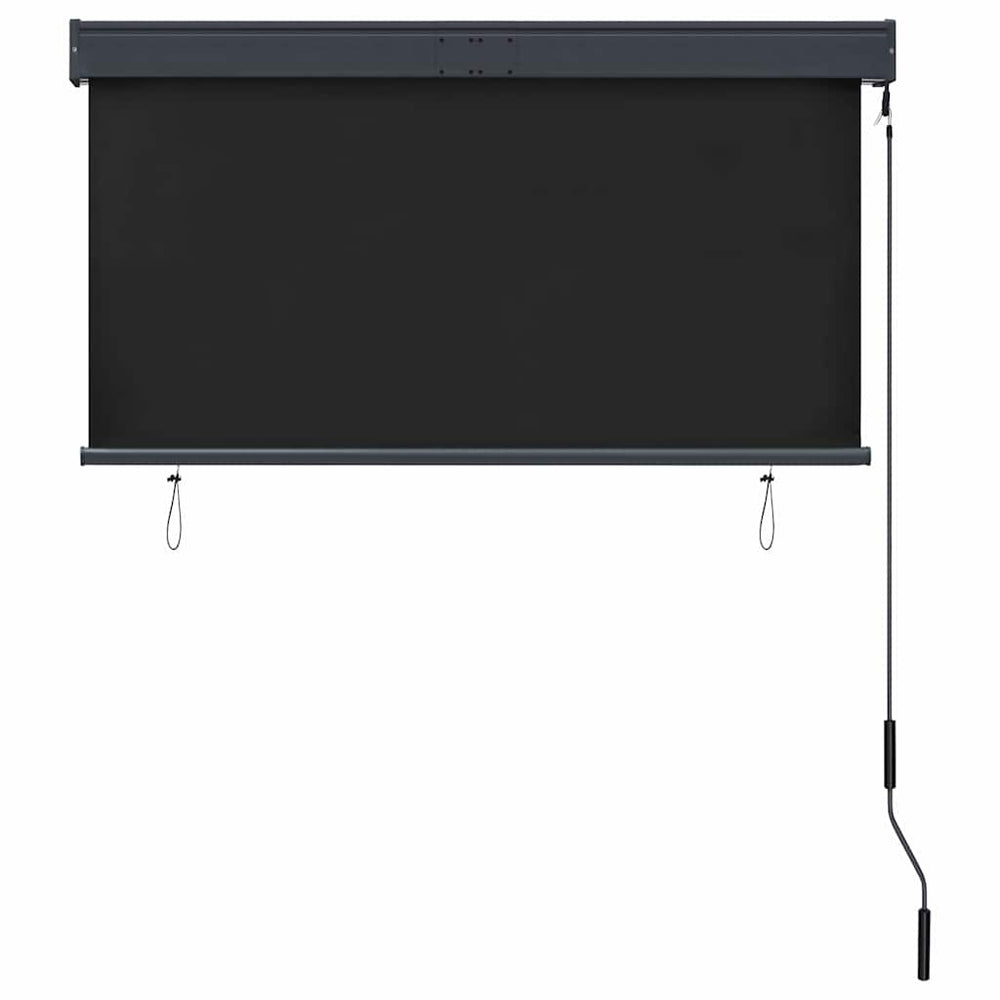 Lauko roletas, antracito spalvos, 120x250cm