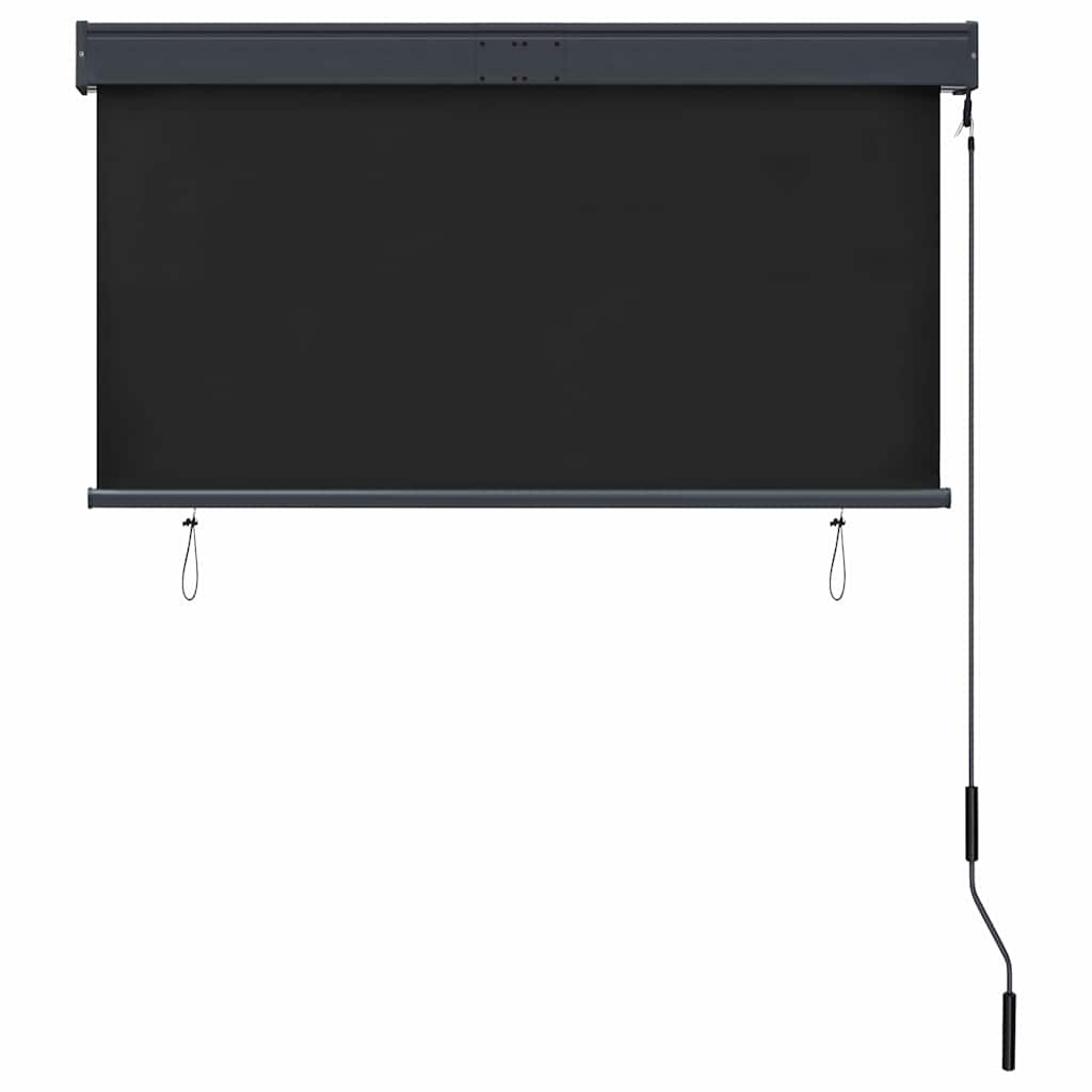 Outdoor blind, anthracite, 120x250cm