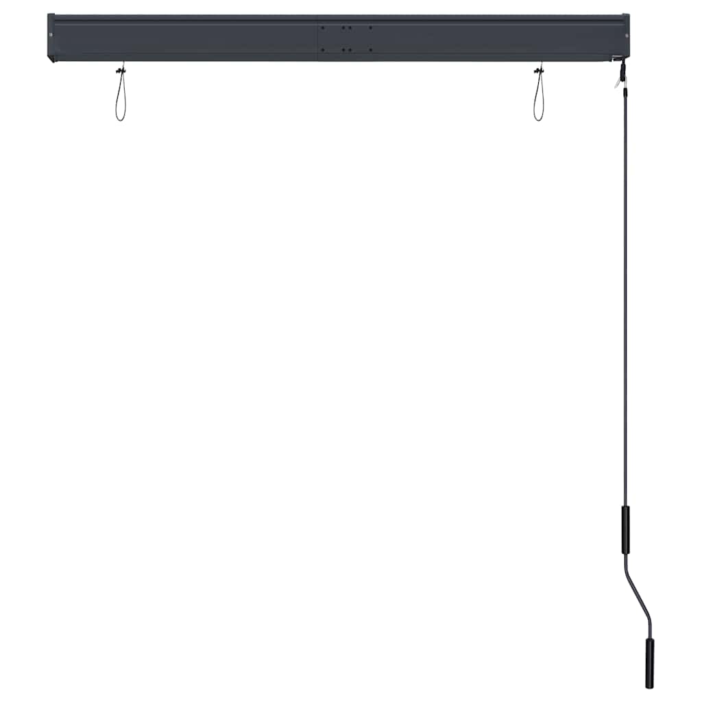 Outdoor blind, anthracite, 120x250cm
