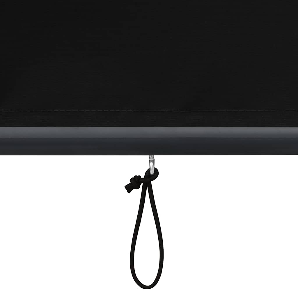 Outdoor blind, anthracite, 120x250cm