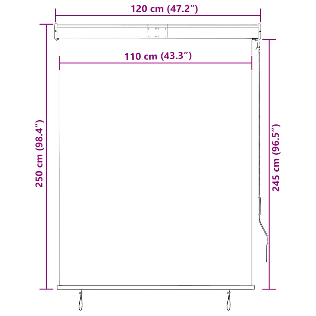 Outdoor blind, anthracite, 120x250cm