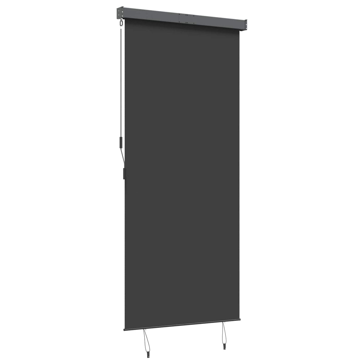 Lauko roletas, antracito spalvos, 120x250cm