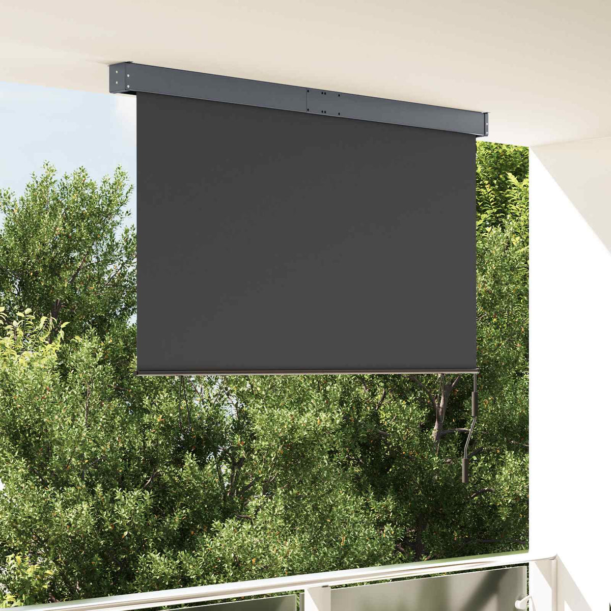 Lauko roletas, antracito spalvos, 160x250cm