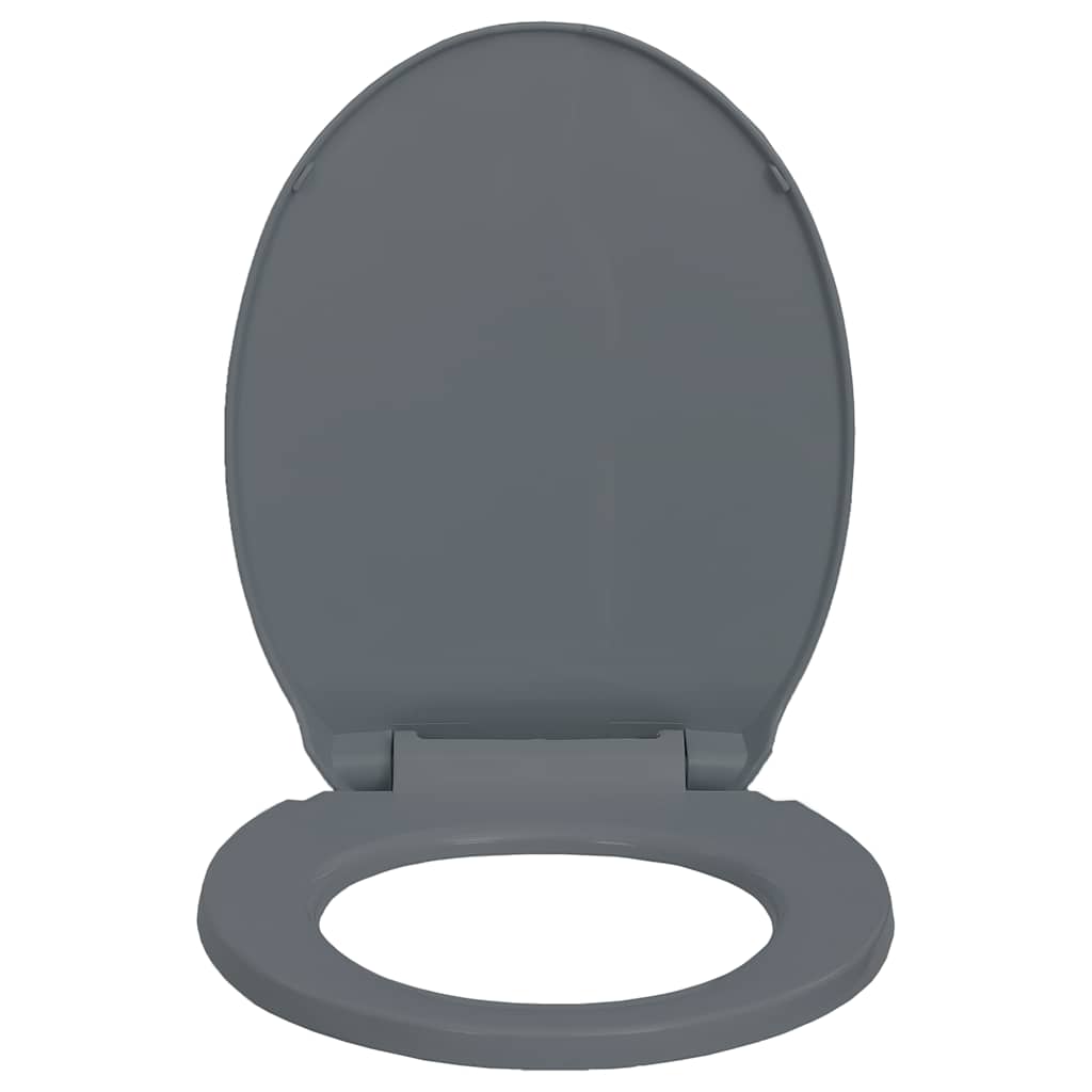 Klozeto sėdynė su soft-close mechanizmu, pilka, ovali