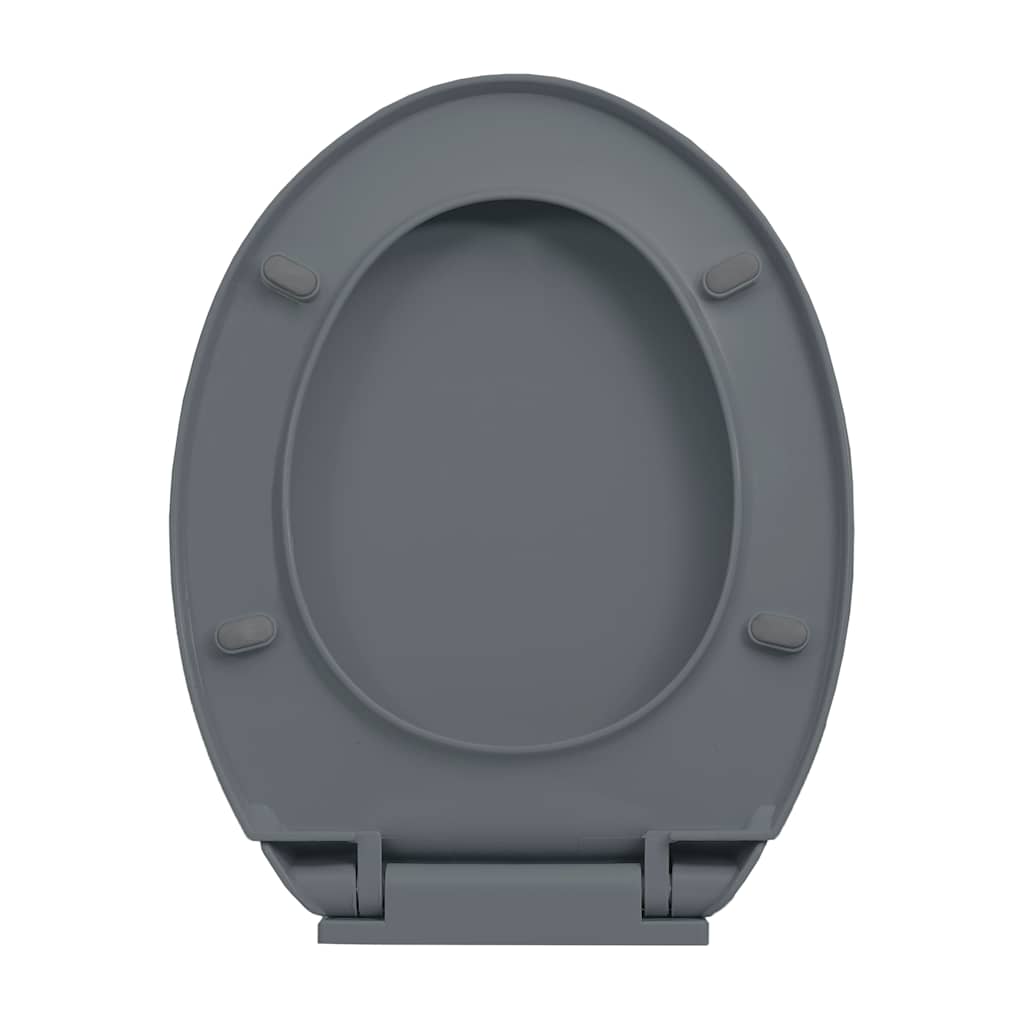 Klozeto sėdynė su soft-close mechanizmu, pilka, ovali