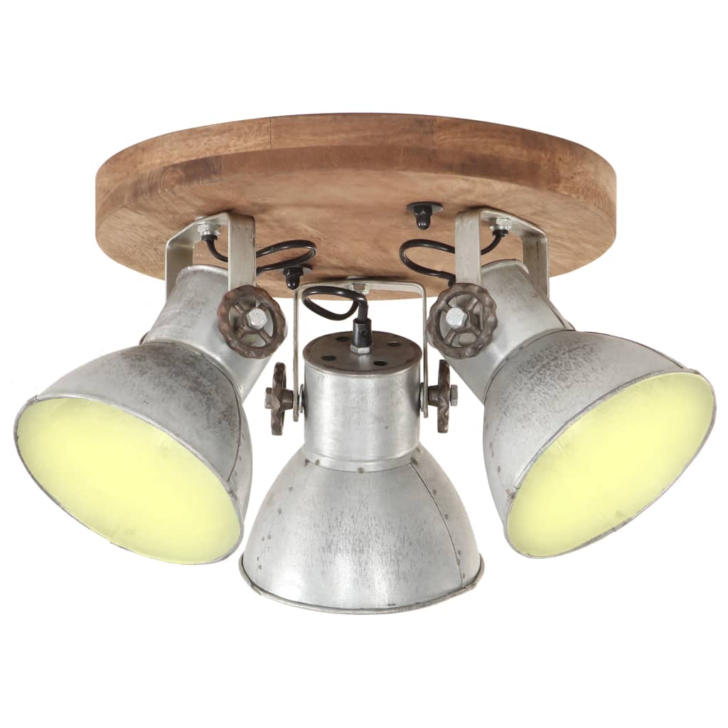 Griestu lampa, sudraba, 42x27cm, 25W, E27